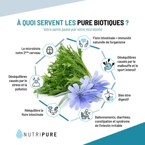 prebiotiques-probiotiques-symbiotiques3.webp