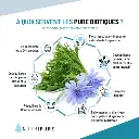 prebiotiques-probiotiques-symbiotiques3.webp