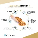 gelules-fenugrec-saponines.webp
